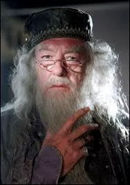 Que fait Dumbledore ?