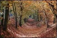 Qui a inspir les paroles 'Je suis venu te dire que je m'en vais'  Serge Gainsbourg ?