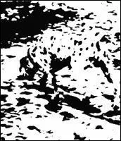 Que vous inspire cette image ?