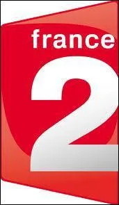 Lequel de ces programmes est diffus sur France 2 (canal 2) ?