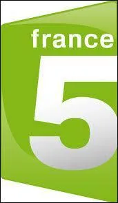 Lequel de ces programmes est diffus sur France 5 (canal 5) ?