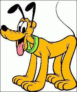 Comment se nomme ce chien ?