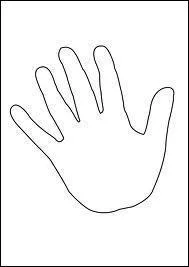 Quel est le plus long de nos cinq doigts ?