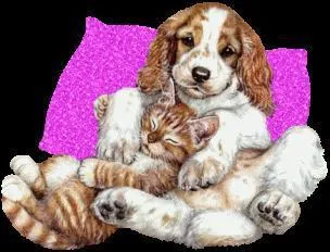 Quel animal est le meilleur ami de l'homme ?