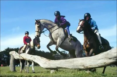 Qui ne saute pas et comment s'appelle son poney ?