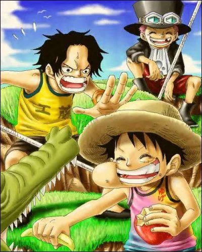 Avec quelle boisson Ace Sabo et Luffy sont-ils devenus frres ?