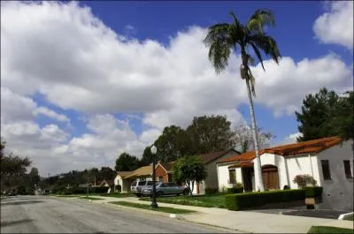 O Tim Burton est-il n ?