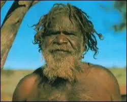 Les lapins de garenne sont une calamit dans ce pays !