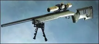 Quel est le nom de cette arme de Call of duty modern warfare ?