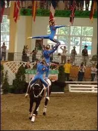 De quelle activit questre s'agit-il ?