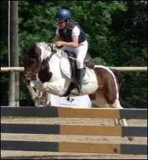 De quelle activit questre s'agit-il ?