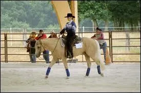 De quelle sorte de monte s'agit-il ?