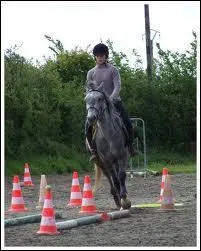 De quelle activit questre s'agit-il ?