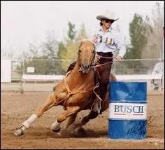 De quelle activit questre s'agit-il ?