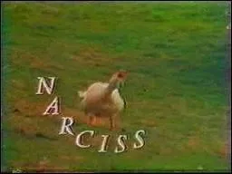 A cette poque, les dessins anims commenaient et se terminaient souvent avec l'oie de...