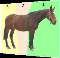 Quel est le numro 2 ?