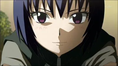 Ce personnage vient de l'anime...