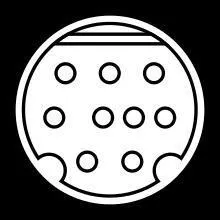 A quoi sert l'interface S-Video ?