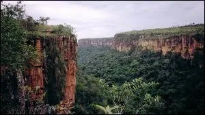 Dans quel pays se situe le plateau du Mato Grosso ?