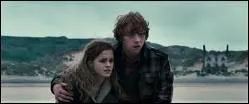 Dans quel film Ron soutient-il Hermione qui est bouleverse par la mort de Dobby, ce drle de petit elfe de maison, prt  tout pour protger Harry et ses amis ?