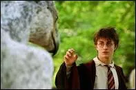 Dans quel film Harry a-t-il peur que Buck ne le morde ?