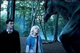 Dans quel film Luna explique-t-elle  Harry pourquoi tout le monde ne peut pas voir les Sombrals ?