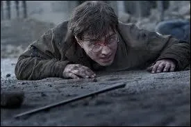 Dans quel film Harry perd-il sa baguette dans un combat contre Voldemort ?