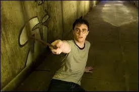 Dans quel film notre pauvre Harry se protge-t-il, lui et son cousin, de 2 mchants Dtraqueurs ?