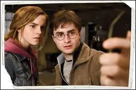 Harry et Hermione viennent de dcouvrir la 2me partie du miroir que Sirius avait donn  Harry, dans quel film voit-on cette image ?