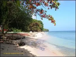 Dans quel pays se trouve l'archipel des Moluques ?