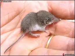 Un petit dernier pour la route !