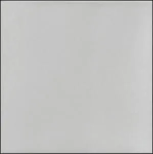 Quelle est cette couleur en anglais ?