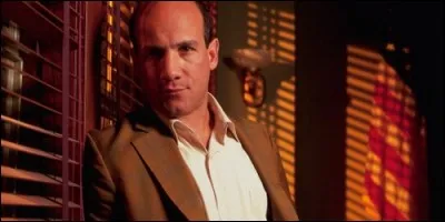 Qui interprète le rôle de Robert Hobbes dans "Invisible Man" ?