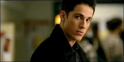 Qui incarne Tyler Lockwood dans "Vampire Diaries" ?