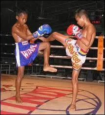 Ce sport est trs reprsentatif ...