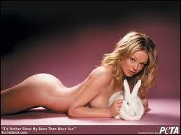 Dans cet norme pays, le koala est l'ami, le lapin, l'ennemi !