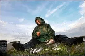 Ce sont des samoydes, ils vivent dans les steppes russes, prs du cercle polaire, leveurs de rennes depuis des sicles, les ...