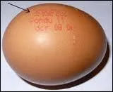 Que signifie le chiffre 1 dans le code qu'on peut lire sur les oeufs ?