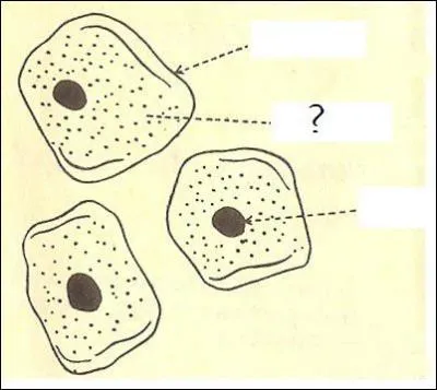 Quelle est l'annotation correspondant au ' ? ' ?
