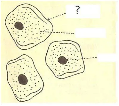 Quelle est l'annotation correspondant au ' ? ' ?