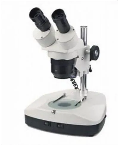Quel est le grossissement d'un microscope qui a un oculaire X10 et un objectif X4 ?