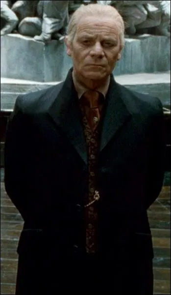 Dans Harry Potter qui interprte le rle de cette personne ?