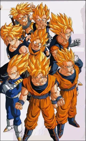 Lequel de ces personnages ne se transforme pas en Super Saiyan ?