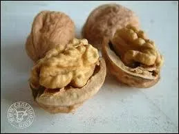 Comment s'appelle la fine membrane qui spare les cerneaux de noix ?