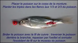 Cette monture de pche est trs connue par les pcheurs de ...