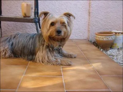 Je suis galement trs touche que vous n'ayez pas oubli mon :