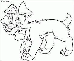 Comme cet os lui fait plaisir ! un scaphode, mais d'o provient-il ?