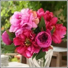 Je vous remercie d'avoir apport ce magnifique bouquet :