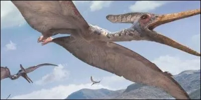 Des reptiles volants d'une envergure de 15m ont existé.