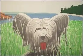 Qui a peint ce chien ?